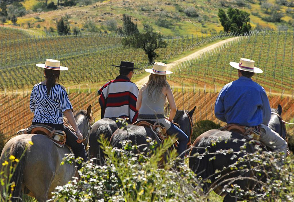 Affittacamere La Casona At Matetic Vineyards Lagunillas Esterno foto